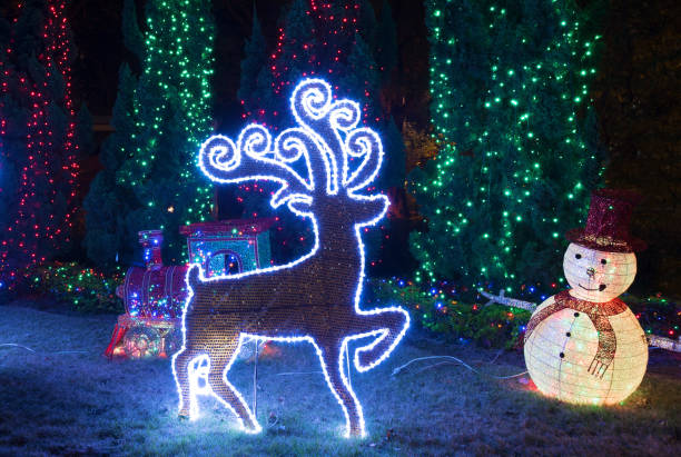 istock LED Christmas decoration in garden 1420898677
