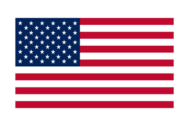 ilustraciones, imágenes clip art, dibujos animados e iconos de stock de especificación perfecta correcta dimensión oficial bandera americana rojo blanco rayas azules elección américa usa escala de especificaciones - american flag