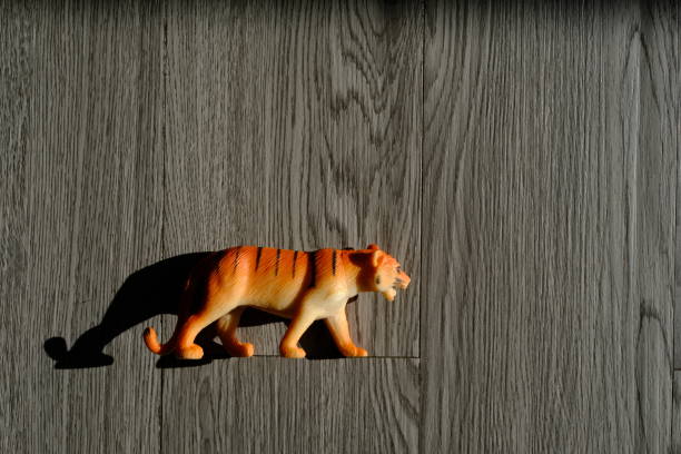 tiger toy on the wooden floor
