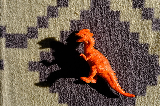 dinosaur toy on the carpet and its shadow