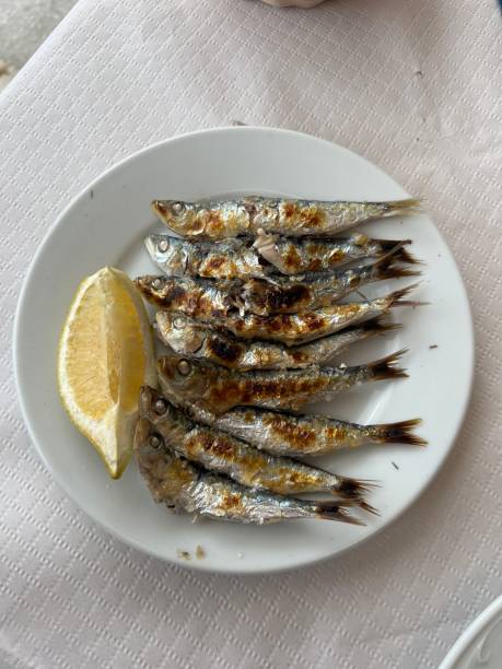 istock skewered sardines on a beach in spain 1420907276