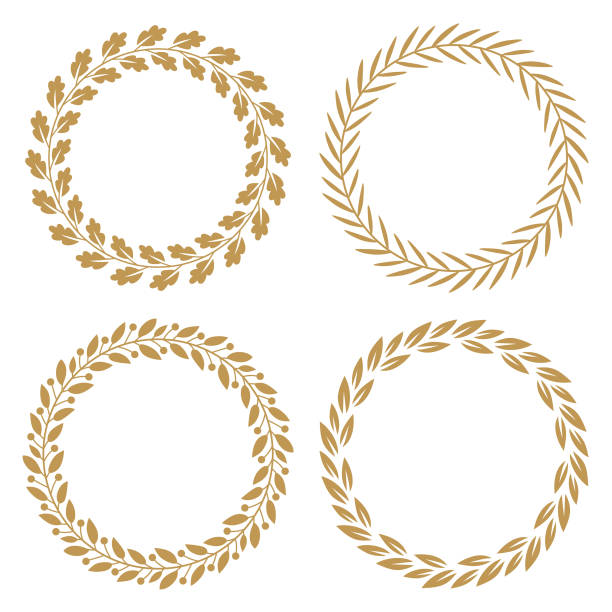 Floral wreaths Set of round frames with leaves. Vector floral wreaths. olive branch stock illustrations