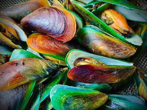 Steamed Mussels with Herb Thai Cuisine and Food, Steamed Mussels with Herb Usually Served with Spicy and Sour Sauce. One of The Most Famous Seafood in Thailand. moules frites stock pictures, royalty-free photos & images