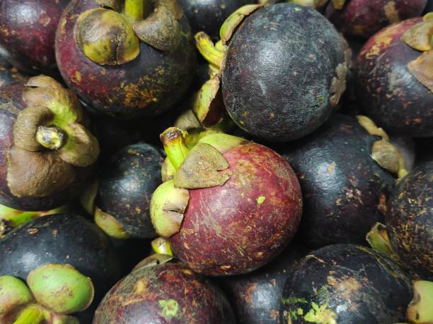 istock Close Up Fresh and Sweet Purple Mangosteens 1420908423