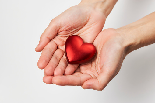 Hands holding red heart, close-up, white background. Valentine's Day, healthcare and medical concept