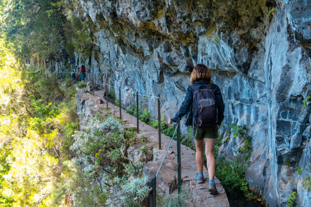 istock Trekking trail on the cliffs at Levada do Caldeirao Verde, Queimadas, Madeira 1420920399