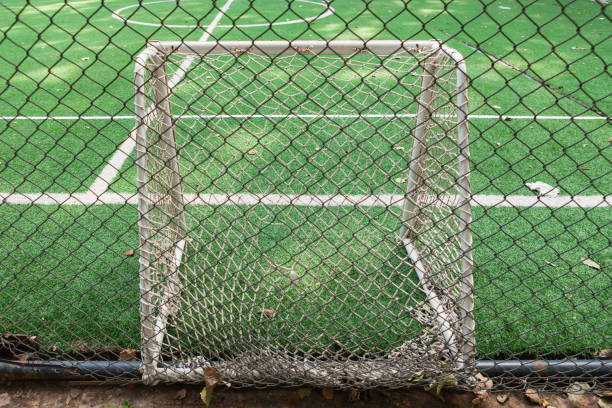 istock Small goal for training on soccer field 1420928143