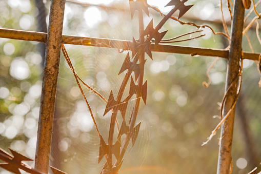 Close up of barbed wire fence