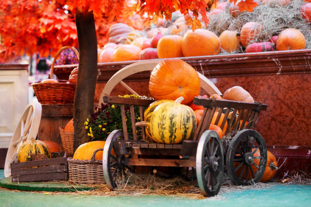 istock Thanksgiving autumn harvest pumpkin cornucopia 1420932367