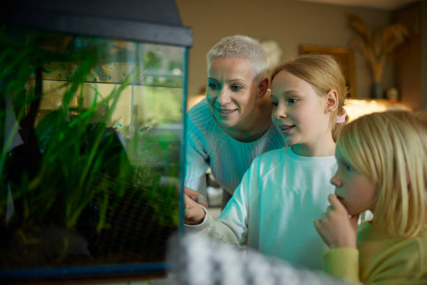istock Mother with daughters watching fish tank at home 1420932426