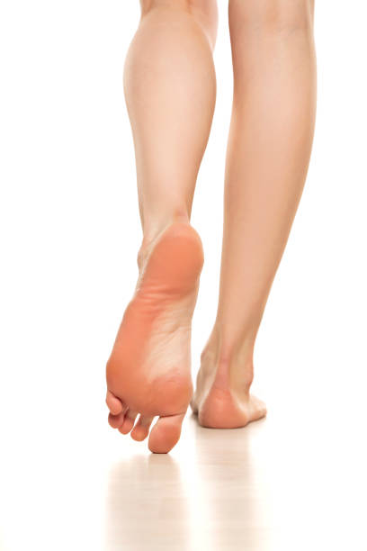 istock Slender beautiful female legs and bare feet rear view on a white background 1420935771