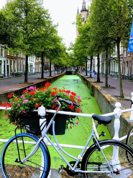 istock Delft, the green canal. 1420938290