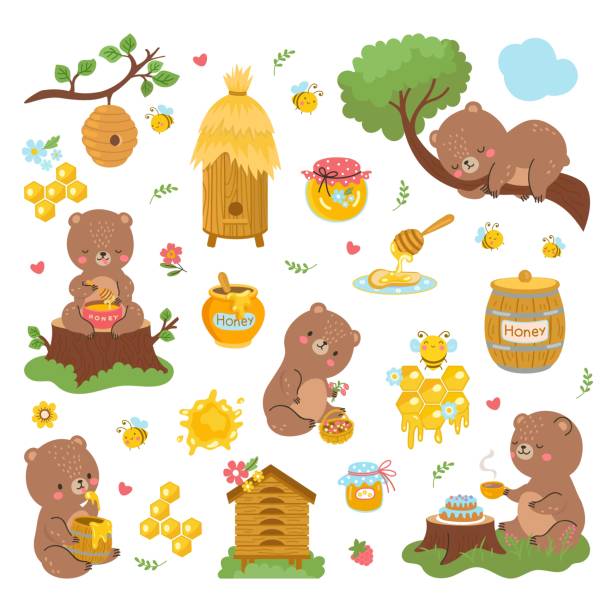 Bear and honey. Cartoon bees bears, cute forest animal flying bee and honeycomb. Sweet healthy food in jar, wild nowaday vector comic characters Bear and honey. Cartoon bees bears, cute forest animal flying bee and honeycomb. Sweet healthy food in jar, wild nowaday vector comic characters bear animal with honey, cartoon bee illustration beehive hairstyle stock illustrations