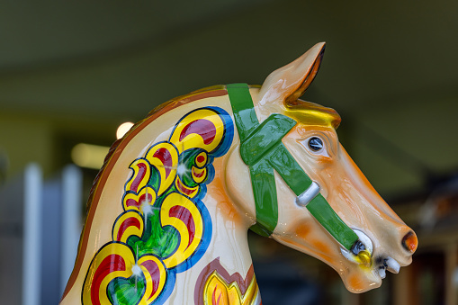 Vintage fairground carousel horse head close-up. Multi-coloured funfair galloper horse face in profile.