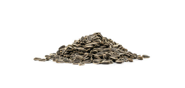 istock Sunflower Seeds Pile, Striped Raw Seeds Isolated Top View 1420944695