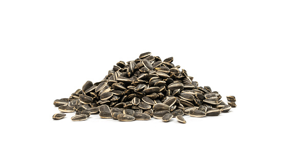 Sunflower seeds isolated. Raw sunflower seed group, sun flower grains with shell, fresh edible striped oil seeds heap on white background side view