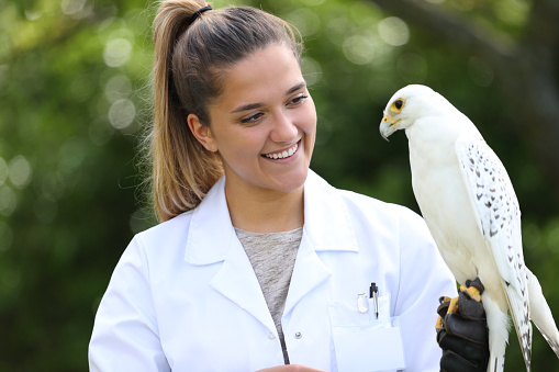 Happy veterinary holding a falcon outdoors