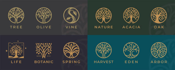 Abstract Tree of Life icons set Abstract Tree of life icons set. Botanic plant nature symbols. Tree branch with leaves signs. Natural design elements emblem collection. Vector illustration. tree of life stock illustrations