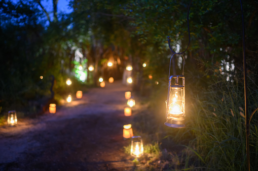 Line of Lanterns with candles in a brown paper bag out in the wilderness