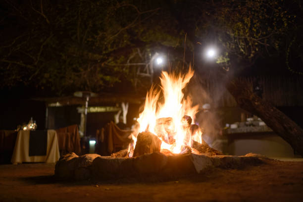 istock Bush Dinner wood Bonfire campfire on safari in a lapa 1420954448