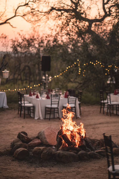 Opulent African bush dinner at dusk with acacia silhouettes string lights candles and a campfire South Africa