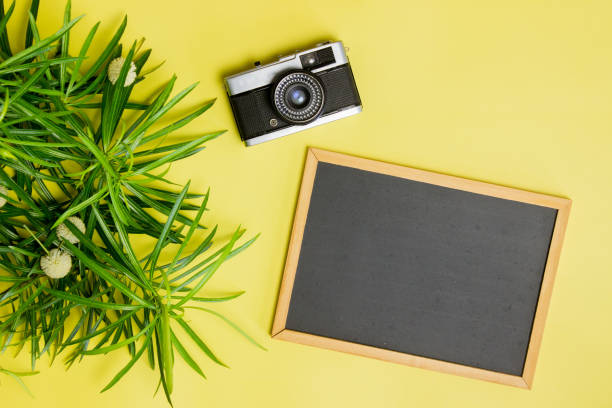 istock Black board with green leaves and camera over the yellow background. 1420957809