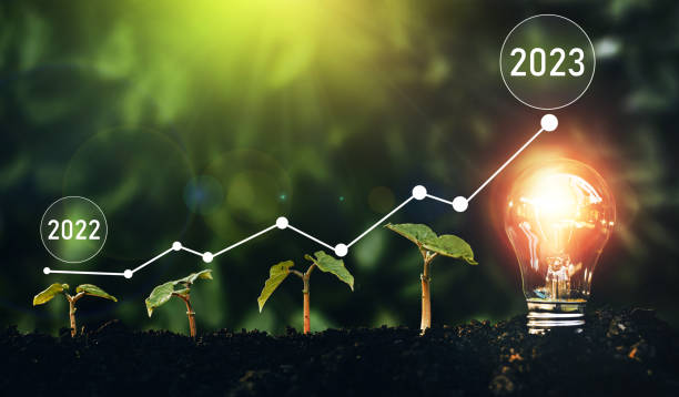 istock Seedlings are growing in soil with growth compared to year 2022-2023 and light bulb for innovations and ideas for the new year. Development to success in year 2023. 1420957993
