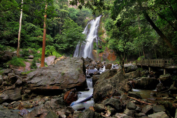 istock beautiful waterfall in green forest 1420959686
