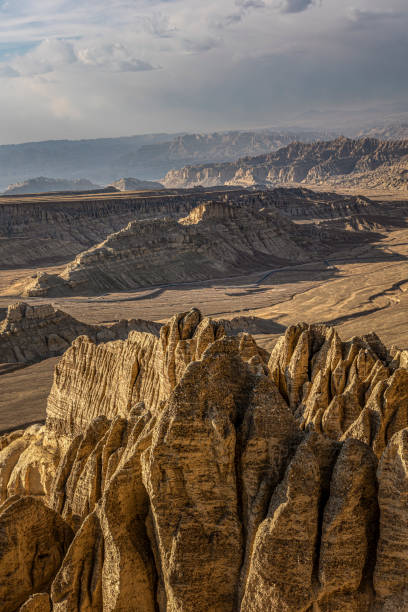 istock Earth forest landform in Zada County, Ali Prefecture 1420962232