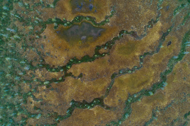 istock Aerial of an aapa mire on a summer evening 1420962452