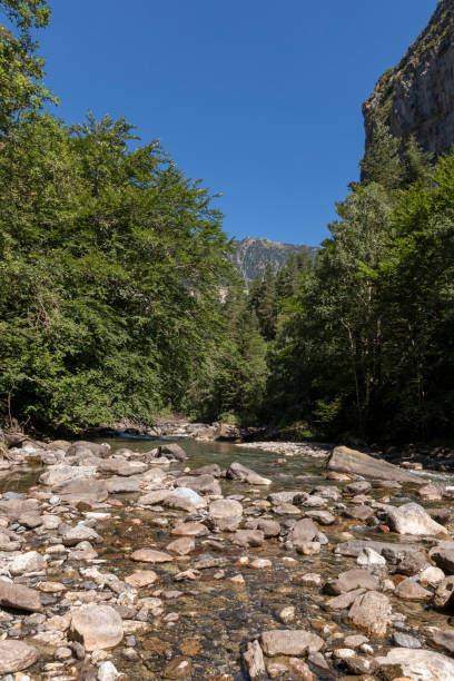 istock wild river in the pyrenees a sunny summer day 1420962943