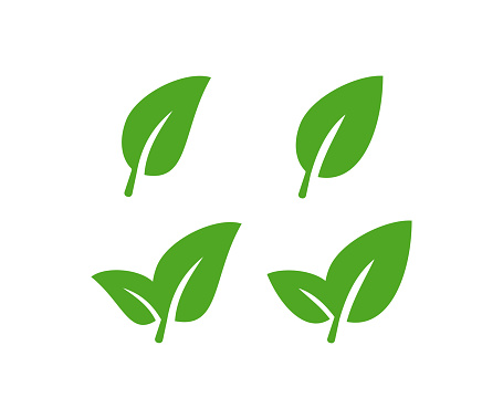 Green leaf icon set. Leaves illustration symbol. SIgn eco vector.