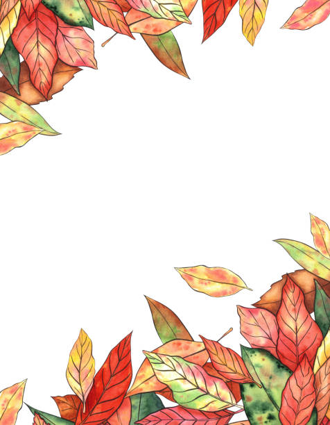 рама с цветными осенними листьями, расписанная в смешанной технике с акварелью и графикой. - autumn backgrounds biology botany stock illustrations