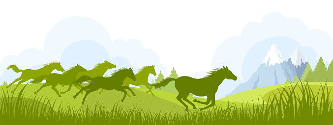 Freedom. Running Wild Horses.