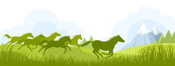 Vector illustration of Freedom. Running Wild Horses.
