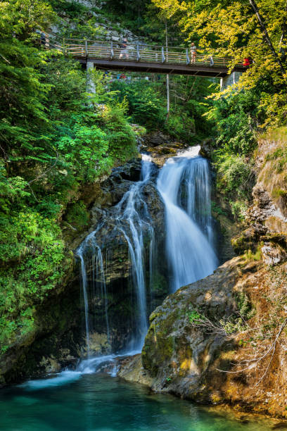 istock Sum Waterfall In Vintgar Gorge In Slovenia 1420979660