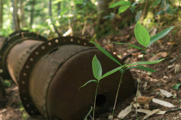 istock remains of rusty industrial equipment among the forest 1420980331
