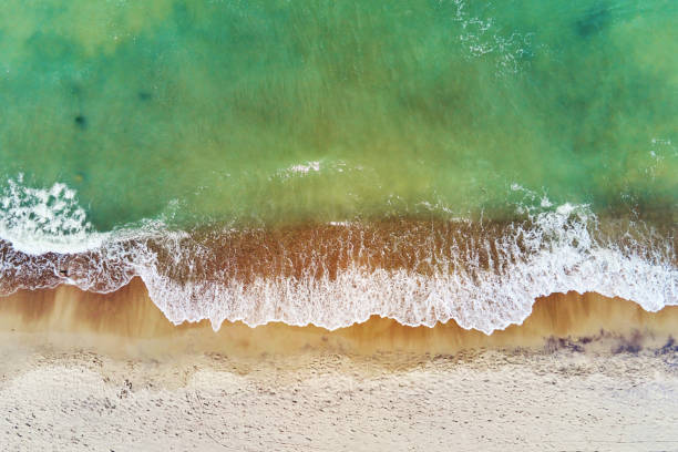 istock Coastline with blue sea waves and sand beach, top view 1420980940