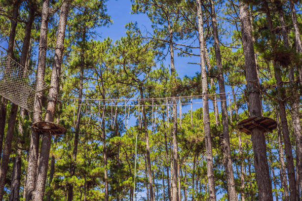 istock Rope park equipment. Strapping in the ropes park 1420982292