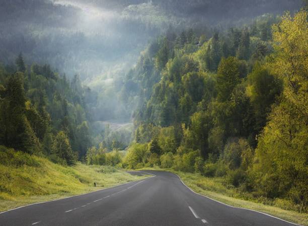 istock Highway cross the forest 1420985260