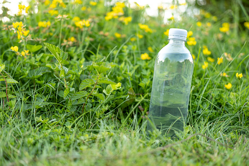 A plastic bottle of water in nature with space for text on the side.