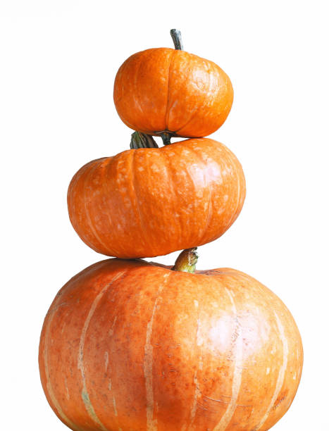 istock Tower of pumpkins isolated on white background 1420986881