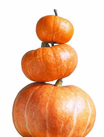 Tower of pumpkins isolated on white background for Halloween theme. Stack of vegetables set, orange pumpkins pattern. Halloween, thanksgiving, design, food, fall, template, squash and nature concept.