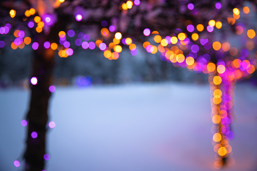 Abstract holiday background with colorful christmas lights on trees.