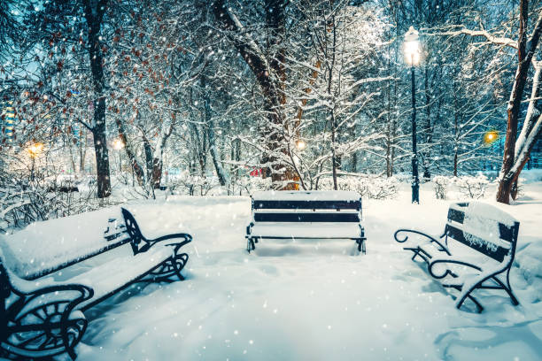istock beautiful magic night snowfall in park. Mist snow blizzard storm. 1420990088
