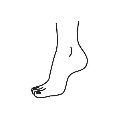 Barefoot woman ankle, elegant and feminine foot of lady. Abstract human body part, pedicure on fingernails, contour design. Vector in flat style, outline linear art