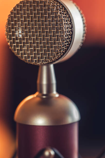 istock Professional microphone for sound recording, macro photography. 1420991733