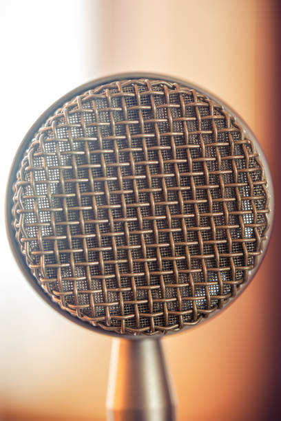 istock Professional microphone for sound recording, macro photography. 1420991741