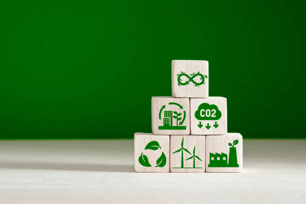 istock Circular economy and climate change concept. Business and environment sustainable development. 1420995802