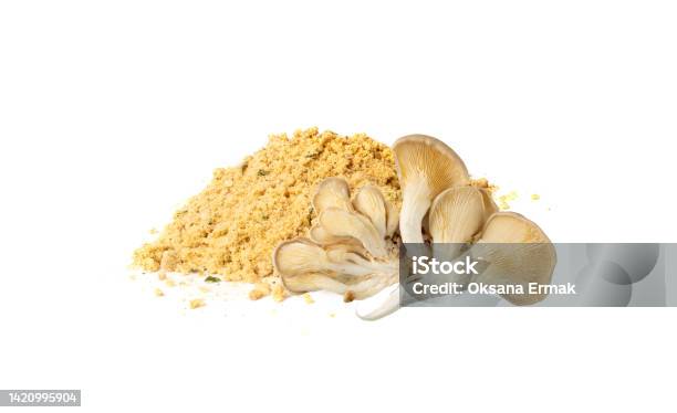 Mushroom Powder Pile Isolated Powdered Dry Mushrooms Stock Photo - Download Image Now